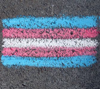 Ley para la igualdad de las personas trans y la garantía de los derechos LGTBI: una ley injusta, imprudente y lesiva