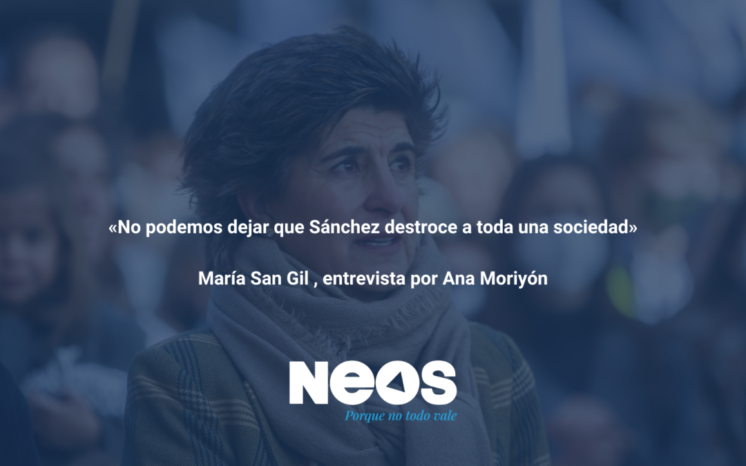 Artículo NEOS | «No podemos dejar que Sánchez destroce a toda una sociedad»